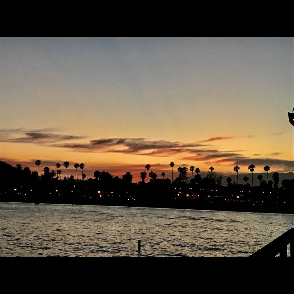 Meet your Posher, Pazita